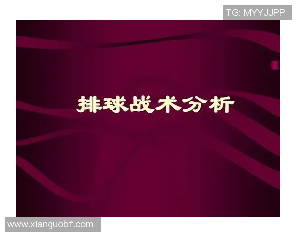 北京排球队控制打法深度解析与战术应用探讨