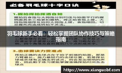 DB旗舰官方app下载
